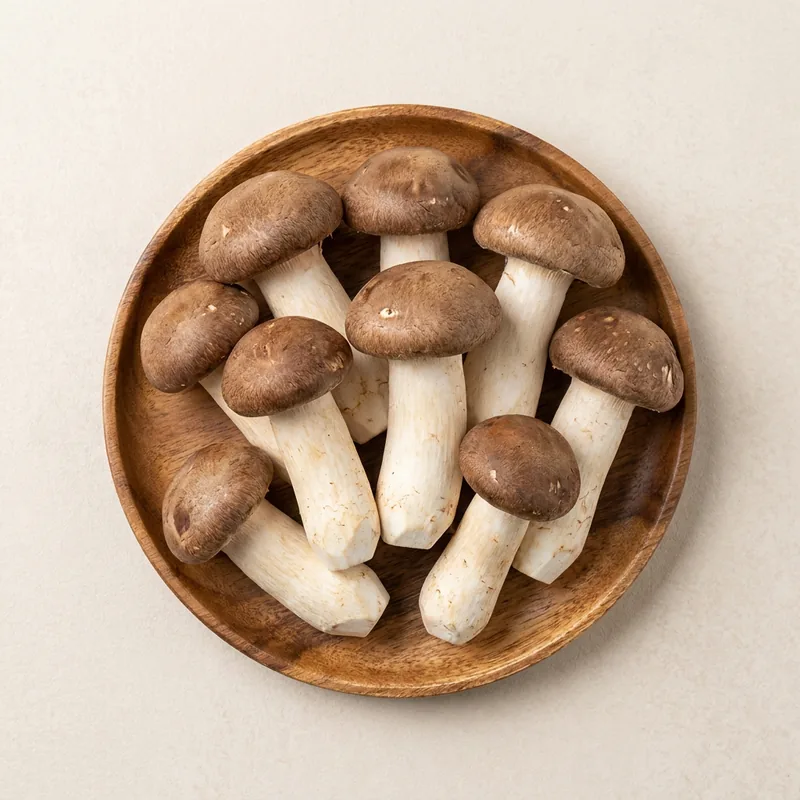 국내산 참송이버섯, 선물포장, 농장직송, 1kg, 1개