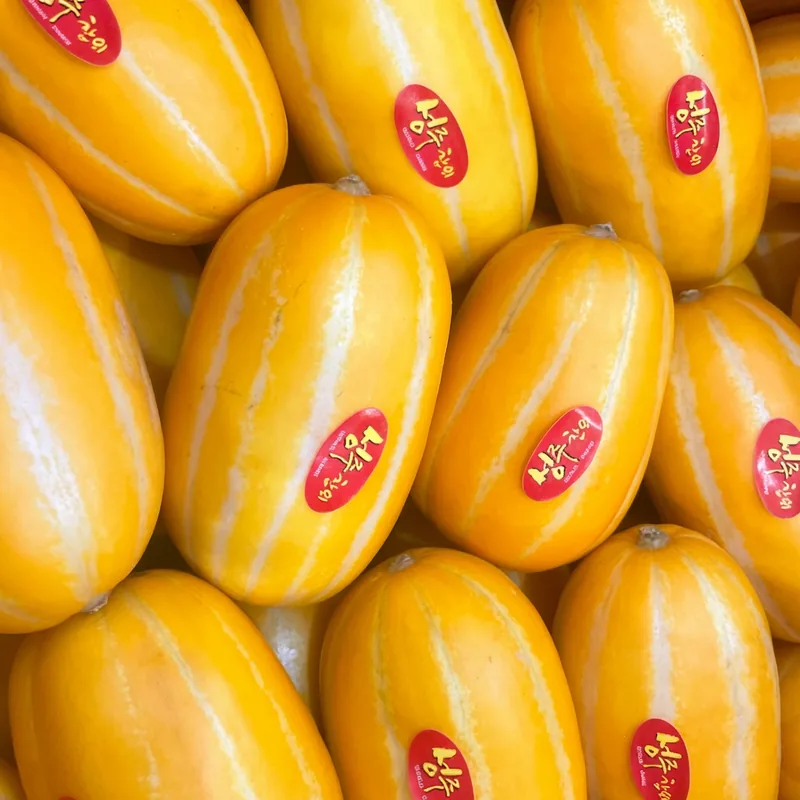 성주 꿀참외 가정용, 5kg, 1박스