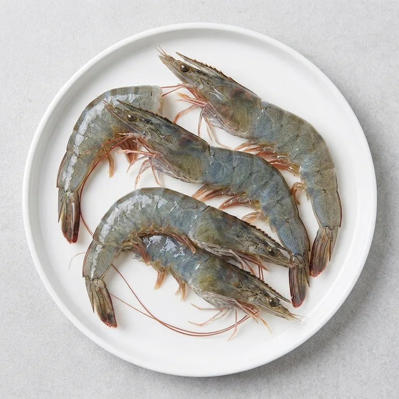 국내산 횟감 활 흰다리새우, 1kg, 1팩