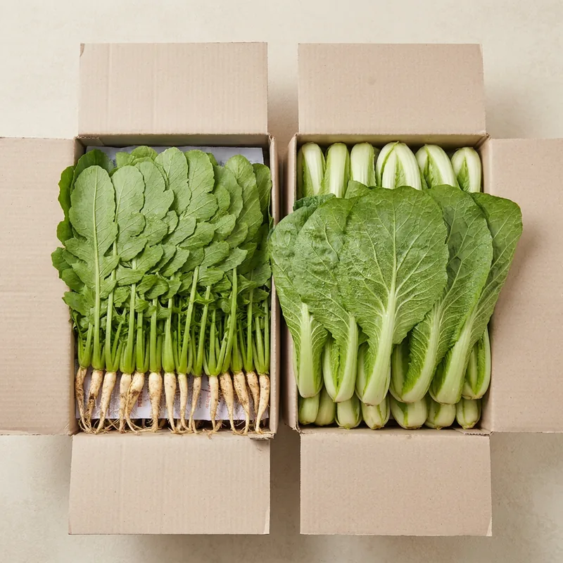 신선한날 열무 얼갈이, 4kg, 1박스