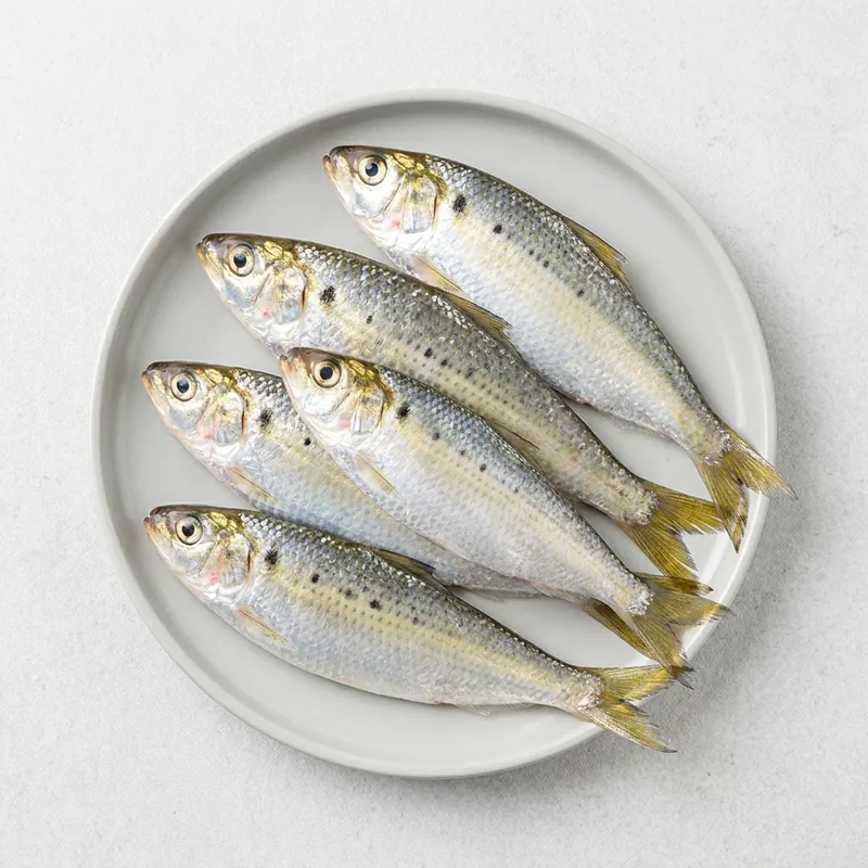 전어, 순살필렛, 손질후, 250g, 1세트