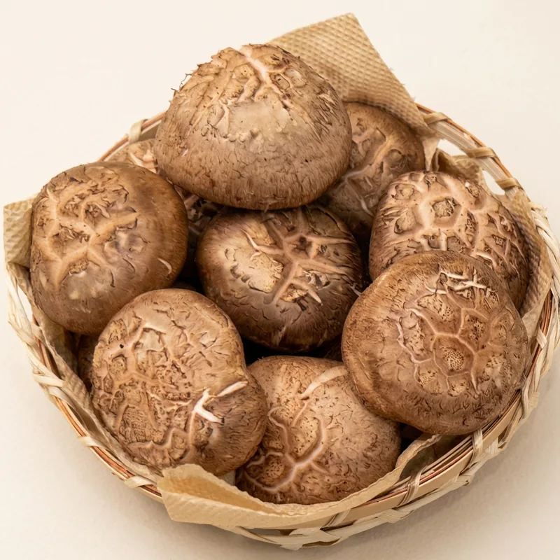 국내산 표고버섯, 중품, 1kg, 1개