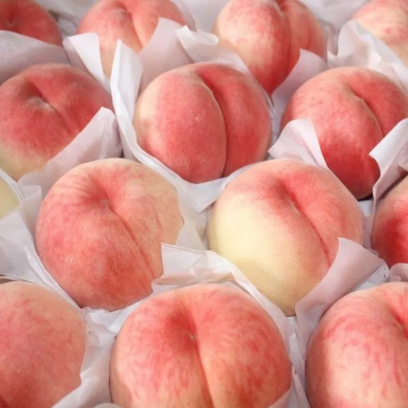 이모뜰 국내산 딱딱이복숭아, 중과, 1kg, 1개