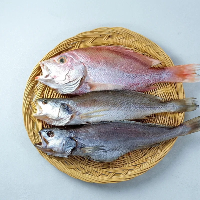 생선대장 제수용생선 세트 돔 조기 민어 3종 반건조생선, 대, 1520g, 1개