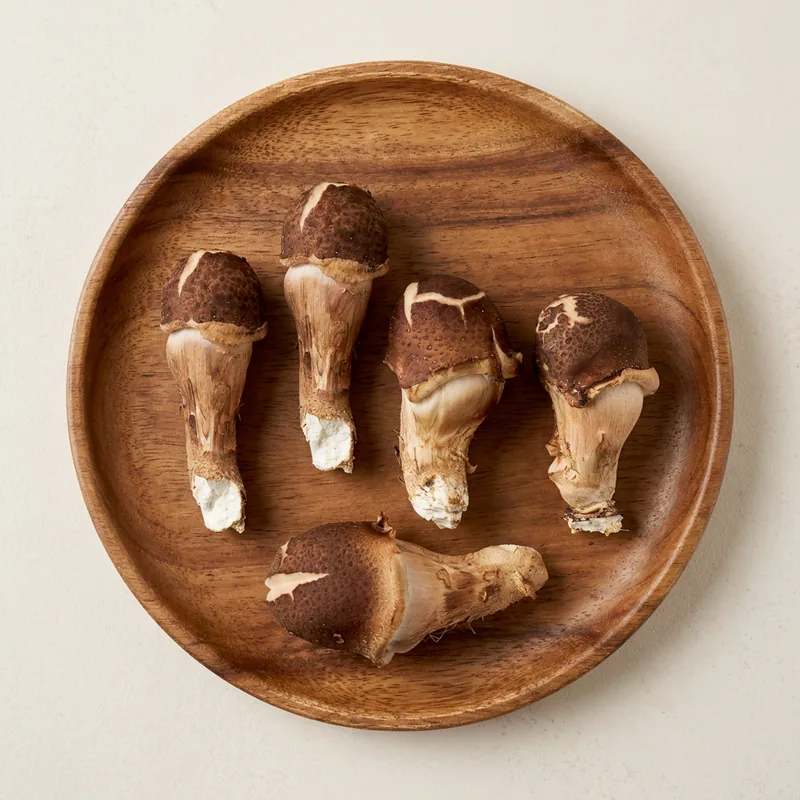 산지직송 참송이버섯, 무농약, 친환경, 500g, 1개