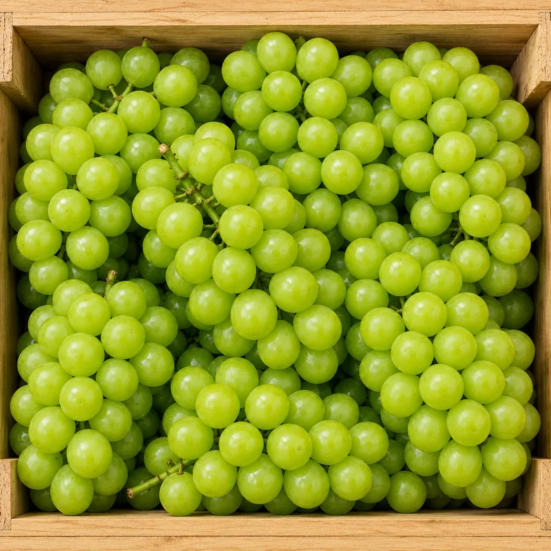 송가네 가정용 샤인머스켓, 3kg, 6수, 1박스