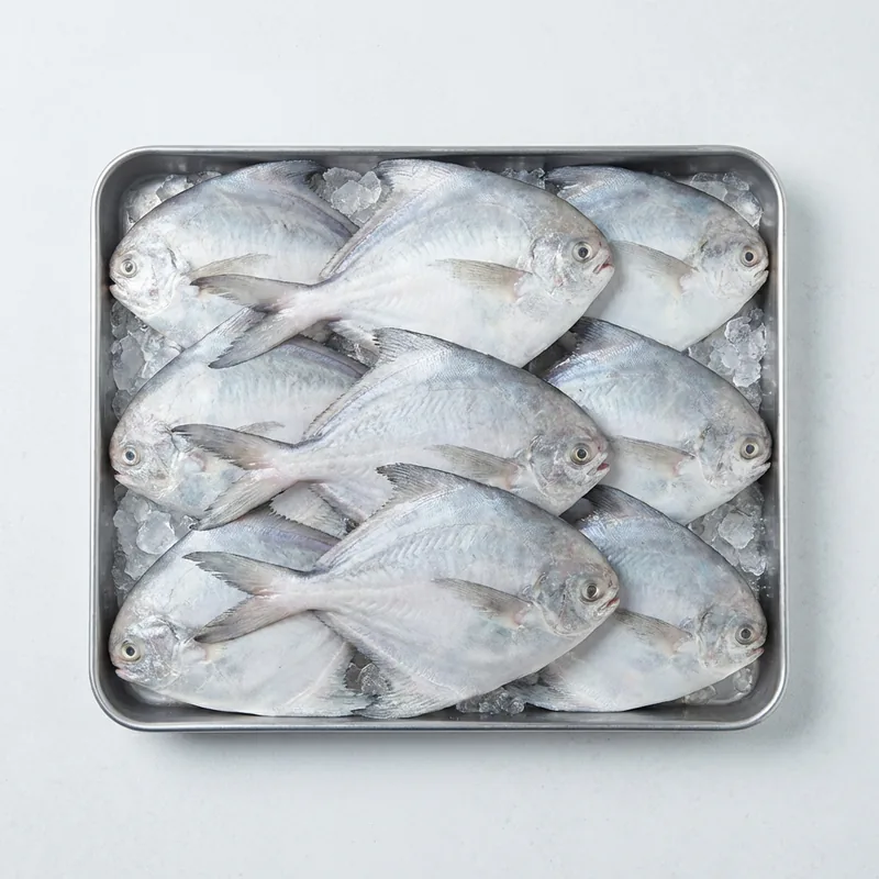 수짱푸드 국내산 생물 횟감 병어, 1kg, 1세트