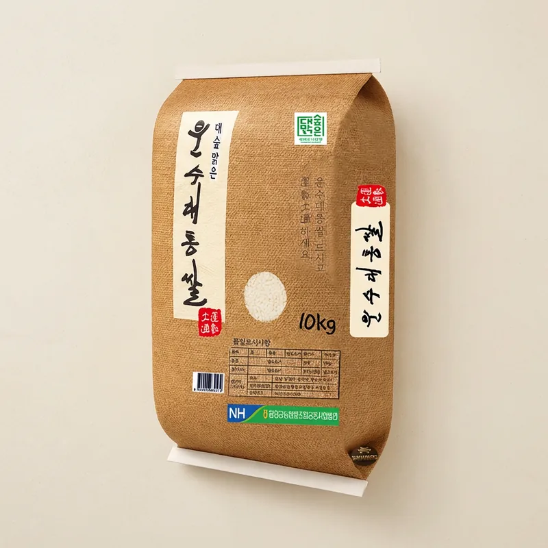 담양군농협 운수대통쌀, 2026년산, 상등급, 10kg, 1개